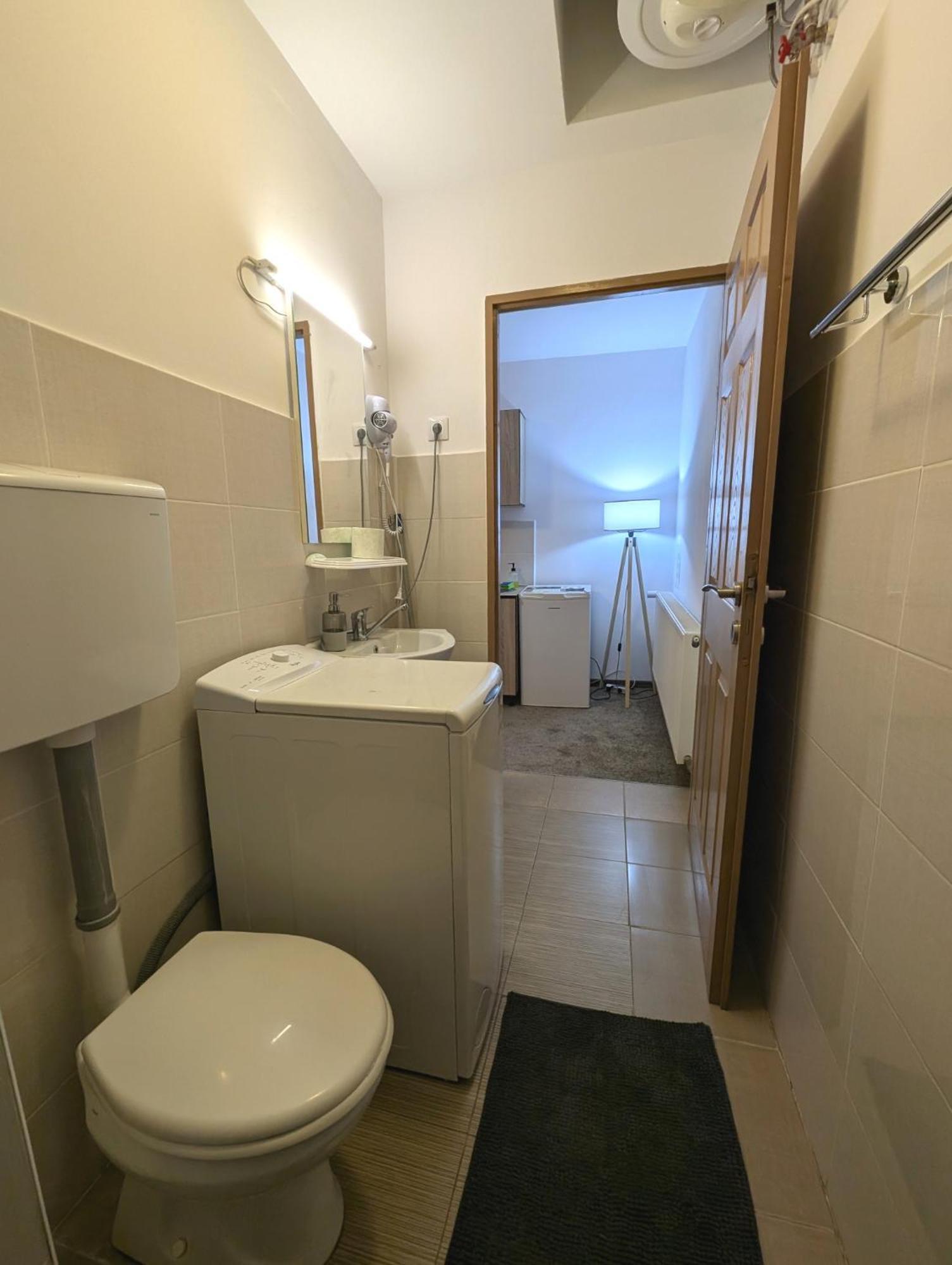 Sandor Central Studio Apartment Târgu-Mureş Екстериор снимка